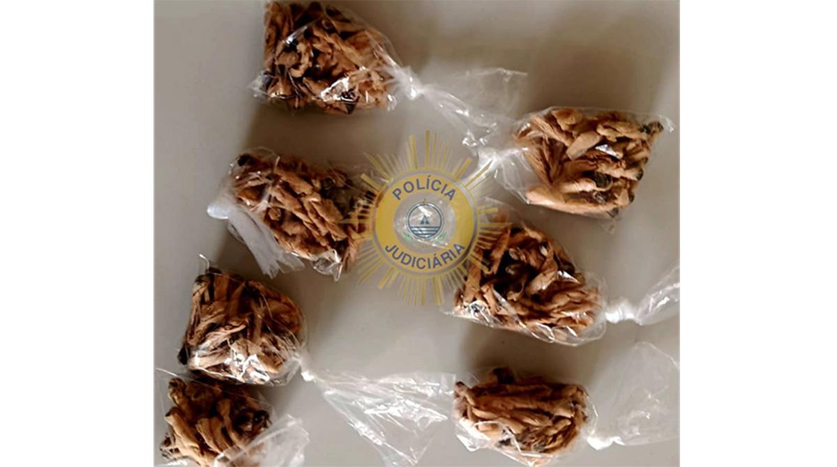 PJ trava no Porto da Praia envio de 201 doses de haxixe para ilha do Maio