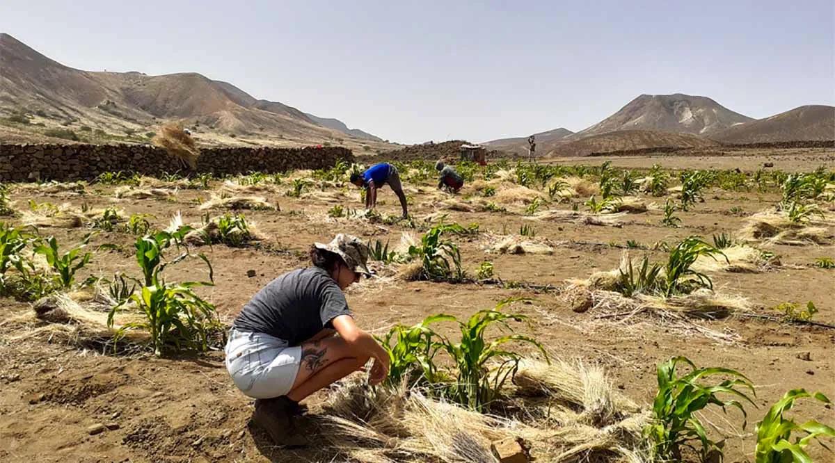 Insegurança alimentar grave aumenta em Cabo Verde e atinge 8,3% da população
