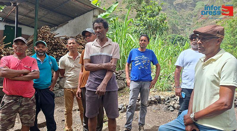 Santo Antão: Agricultores Pedem Prolongamento do Prazo de Produção de Grogue