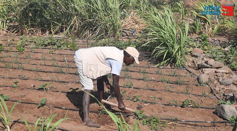 Jovens Agricultores de Porto Novo Pedem Apoio ao Governo