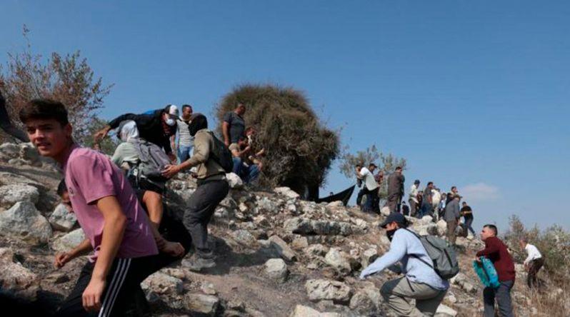 Amnistia Internacional Acusa Israel de Acelerar Limpeza Étnica na Cisjordânia