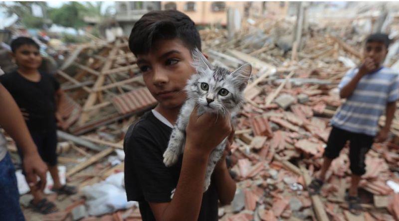 Comissão da ONU Acusa Israel de Atacar Deliberadamente Crianças em Gaza