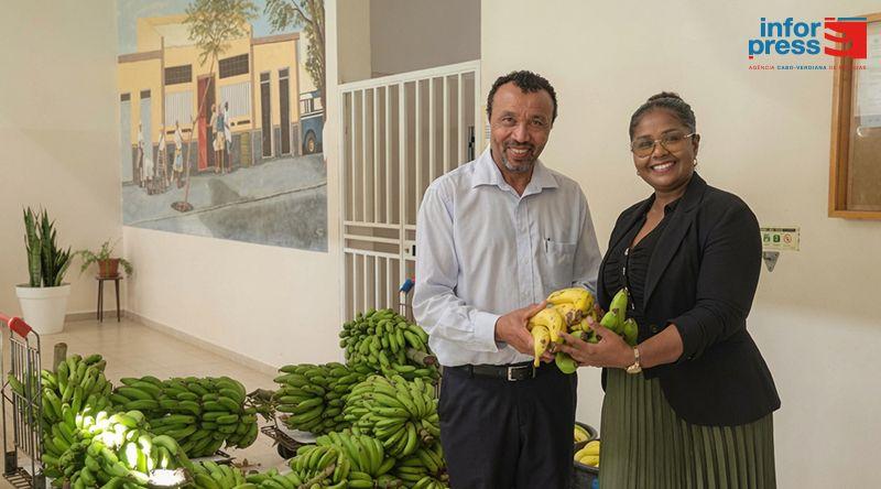 Santo Antão: Produtores Agrícolas Enfrentam Desafios na Exportação