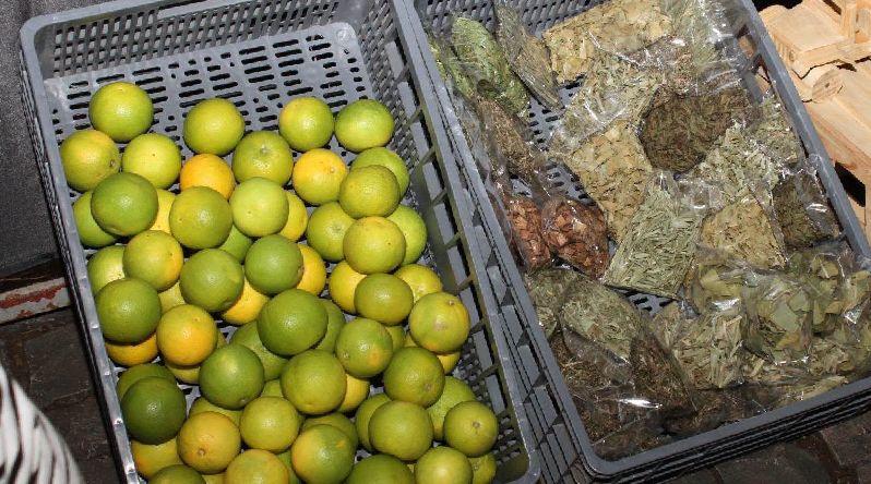 Porto Novo/Ribeira das Patas: Feira de produtos agropecuários valoriza produção de citrinos nesta localidade – edil