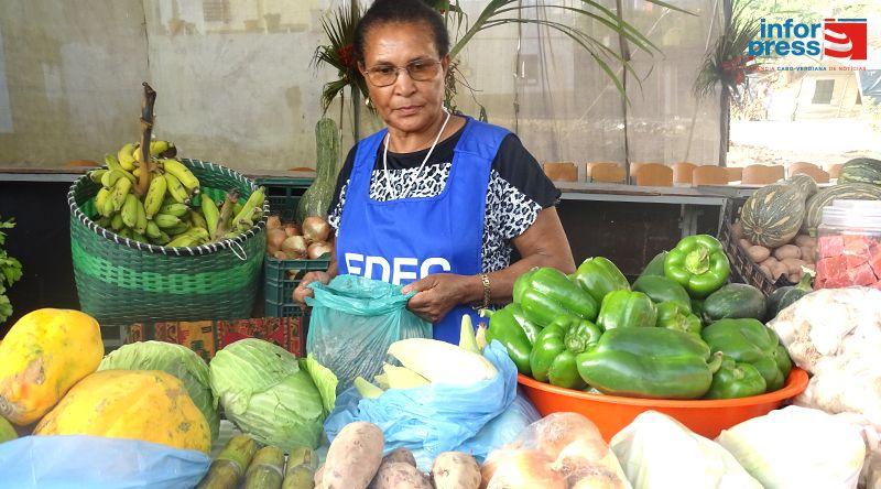 Porto Novo: Mulheres empreendedoras vão retomar feira agropecuária de Lajedos