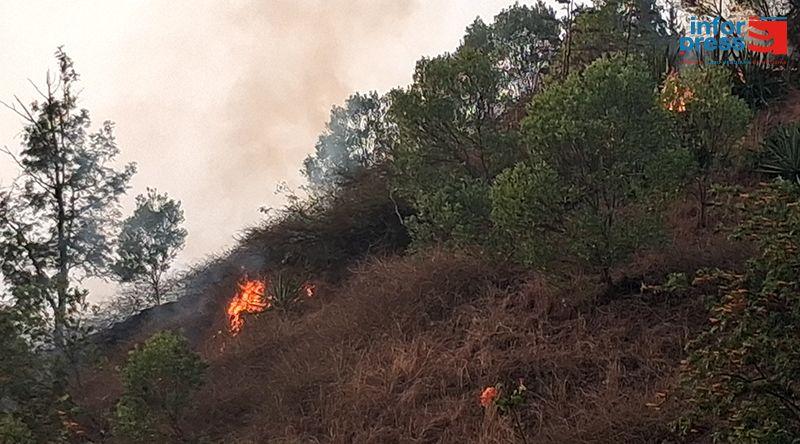 Incêndio Devasta Cafezais em Monte Vaca