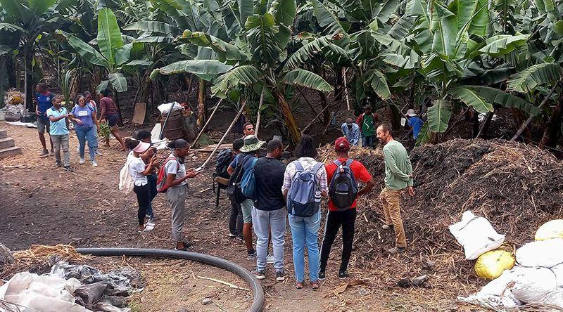 Santo Antão/Ensino superior: ICTA exorta jovens a se inscreverem nos cursos de agronomia e zootecnia