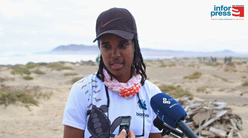 Santa Luzia já tem mais de mil calhandras após reintrodução da espécie