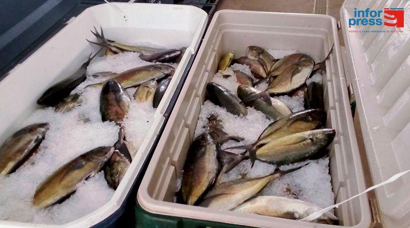 Porto Novo: Associação faz doação de pescado às cantinas escolares de Santo Antão