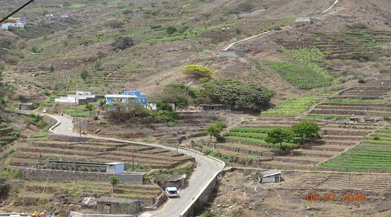 Agricultores Alertam para Preços Elevados da Água em Porto Novo