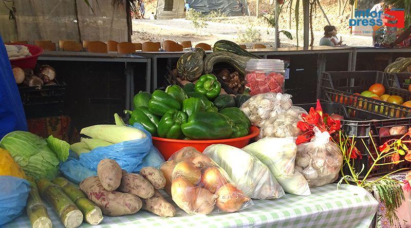Porto Novo acolhe feira com presença de mulheres e jovens empreendedores de Santo Antão
