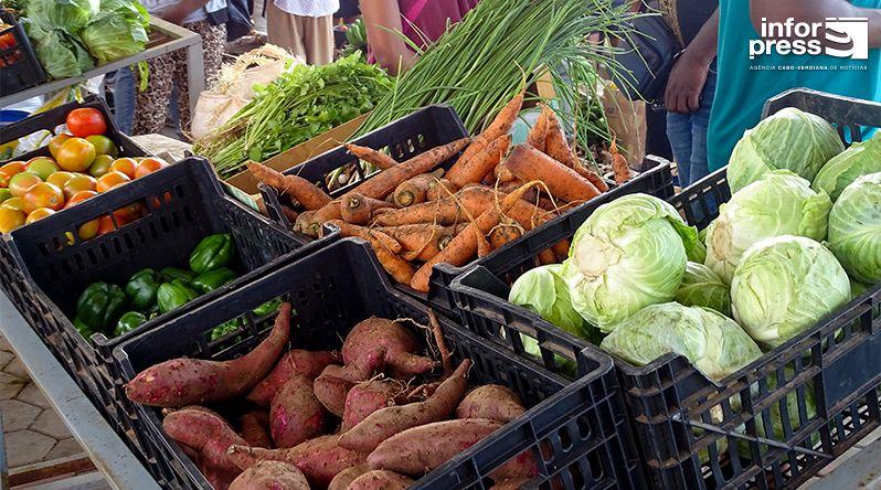 Produtores de Porto Novo Superam Escassez de Água