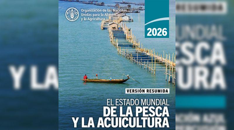 Produção pesqueira mundial atinge recorde de 235 milhões de toneladas - relatório da FAO