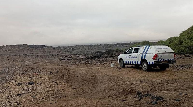 Porto Novo: Terrimar denuncia abate de tartaruga marinha
