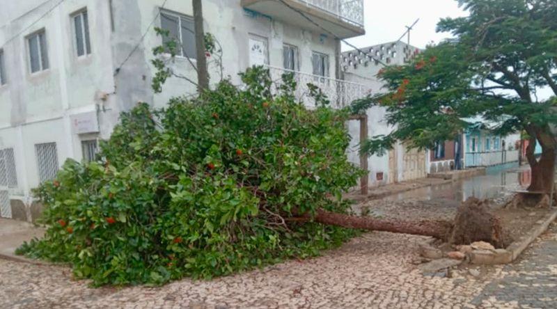 Maio: Ventos fortes derrubam árvores e danificam estruturas na ilha