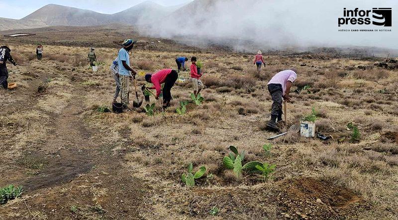 Porto Novo: Parque Natural do Topo de Coroa Recebe Projeto de Conservação