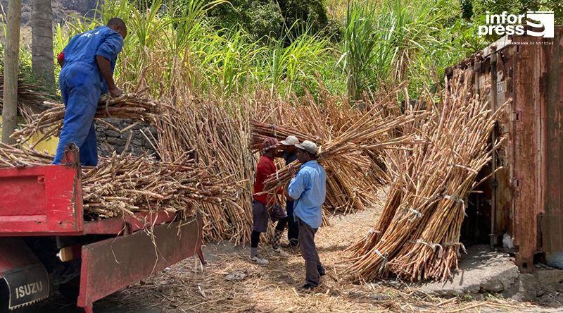 Porto Novo: Produtores de grogue criam associação para a defesa da classe e da qualidade do produto