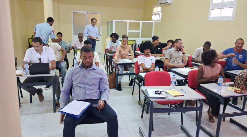 Fogo: Mortes de equinos motivam conferência nacional sobre bem-estar e regulação da criação de cavalos