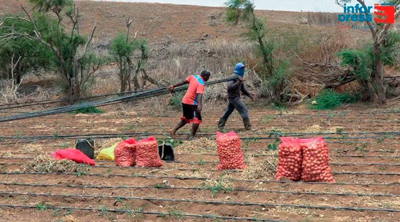 Maio: Obra da dessalinizadora de água para agricultura continua por concluir dois anos após lançamento