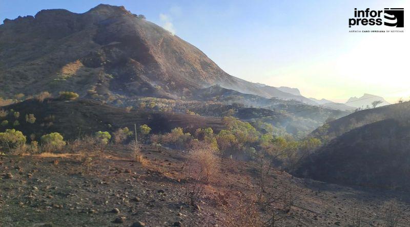 Santa Catarina: Três Incêndios Mobilizam Bombeiros e Reforçam Alerta