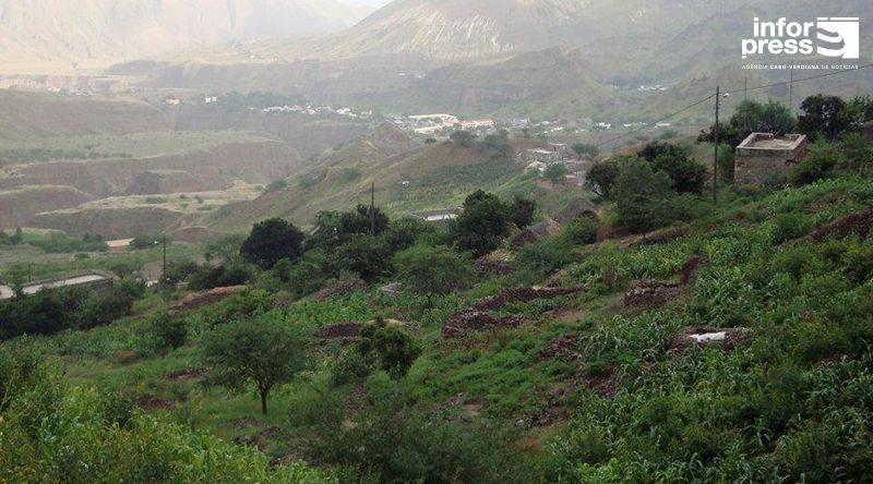 Proliferação de Acácias Americanas Ameaça Agricultura em Porto Novo