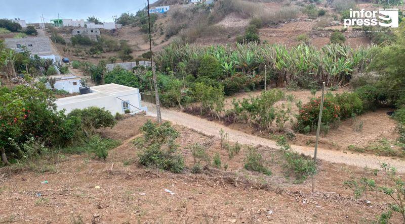 Brava: Agricultores e criadores esperançosos num bom ano agrícola apesar da ausência de chuva