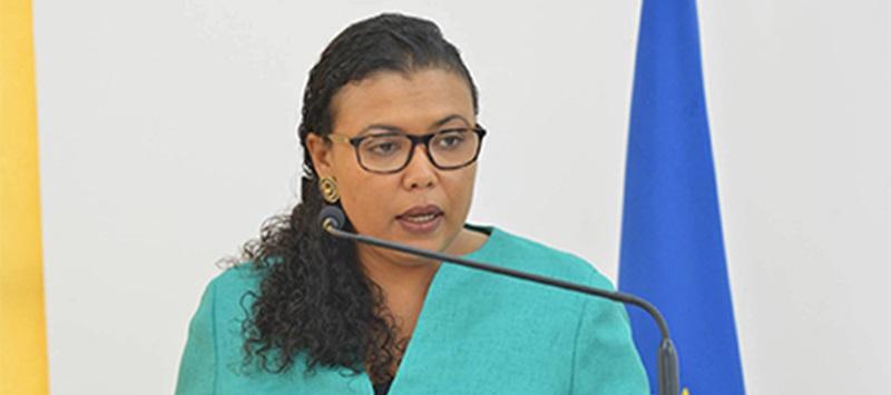 “Tensões institucionais e no interior dos partidos” levam Janine Lélis a desistir da corrida presidencial