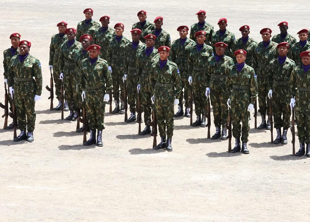 Governo vai reforçar capacidade operacional da Forças Armadas