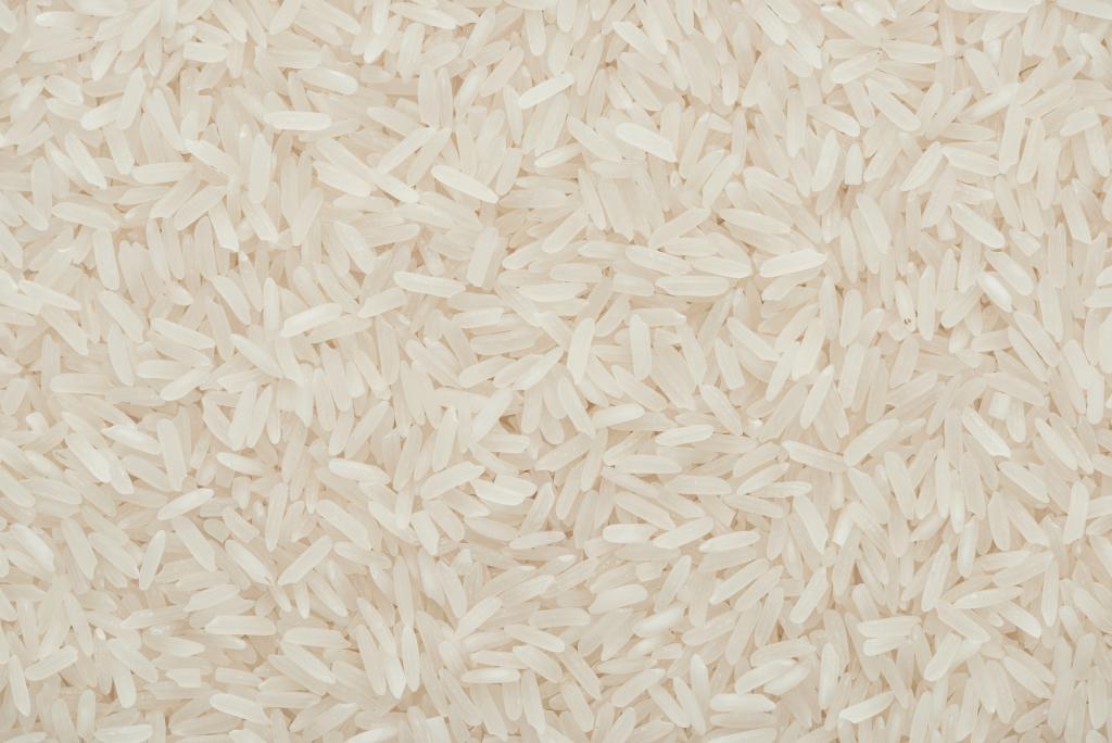 Economia/
Governo lança concurso para alienação de arroz doado pelo Japão