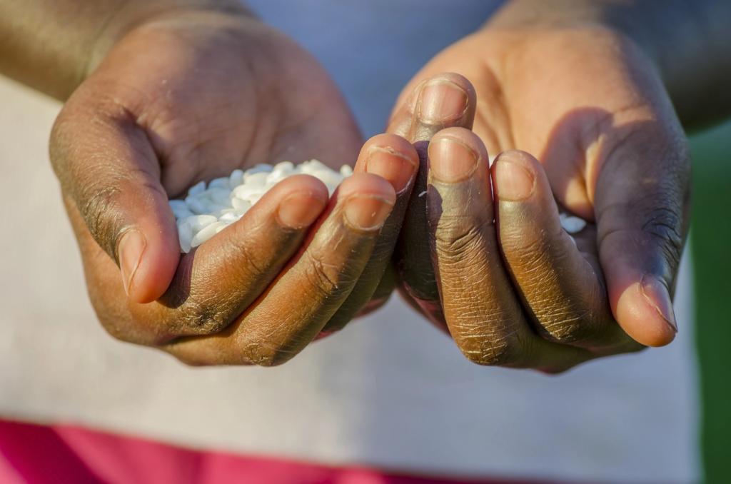 Mundo/
Moçambique entre os países mais vulneráveis à insegurança alimentar