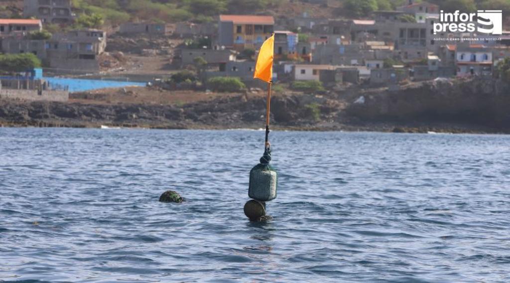 Economia/
Santa Catarina: Pescadores de Rincão enaltecem benefícios do DCP na aproximação dos cardumes à costa