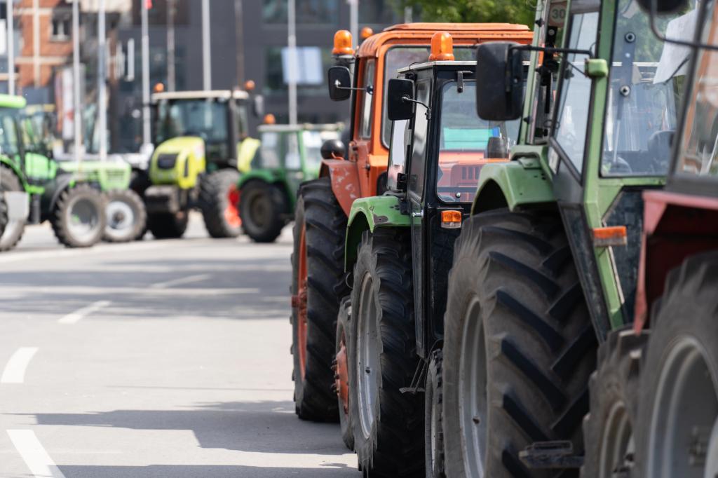 Mundo/
Agricultores juntam-se a protestos em Madrid na quarta-feira