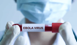 Mundo/
Surto de ébola na RDCongo já provocou mais de 5.000 mortos