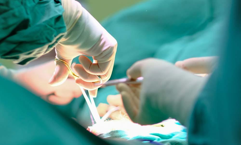 Médicos Cabo-Verdianos nos EUA Mobilizam 70 Profissionais para Missão em Cabo Verde