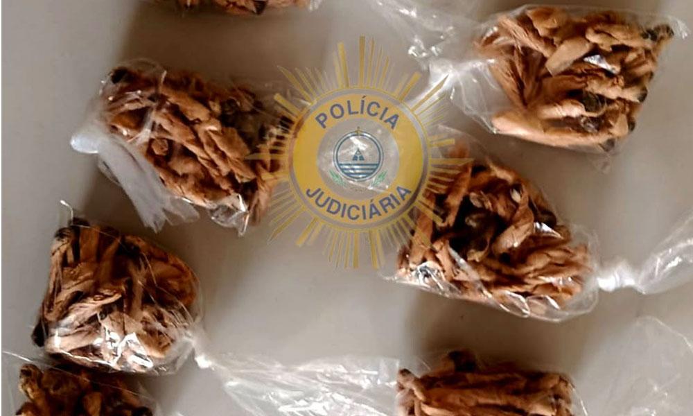 Praia: Dois suspeitos interditados de sair do país por envio de droga para a ilha do Maio