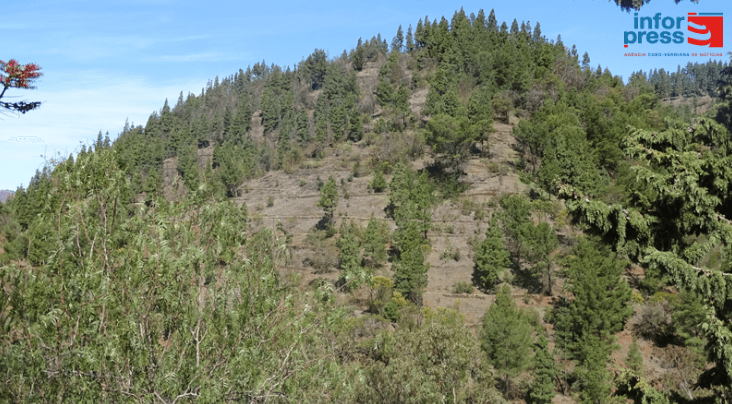 Porto Novo: Amupal esperançada no projecto de produção de vinho no Planalto Leste